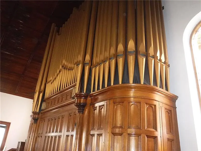 Organ Image